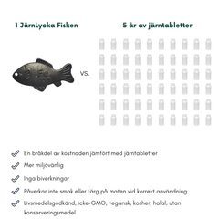 JärnLycka Fisken i 100% Rent Järn